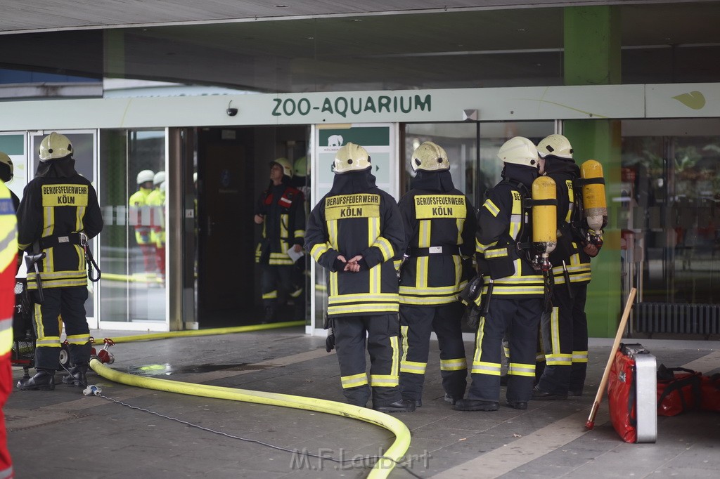Feuer Zoo Aquarium Koeln Riehl P21.JPG